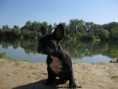 /album/fotogaleria/img-0923-2-jpg/